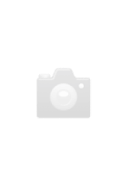 Weitfeld Okular WF6.25X/23mm / Stereom..